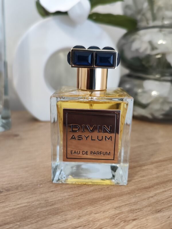 Eau de Parfum FW French Avenue, Divin Asylum, Men, 100 ml – Image 4