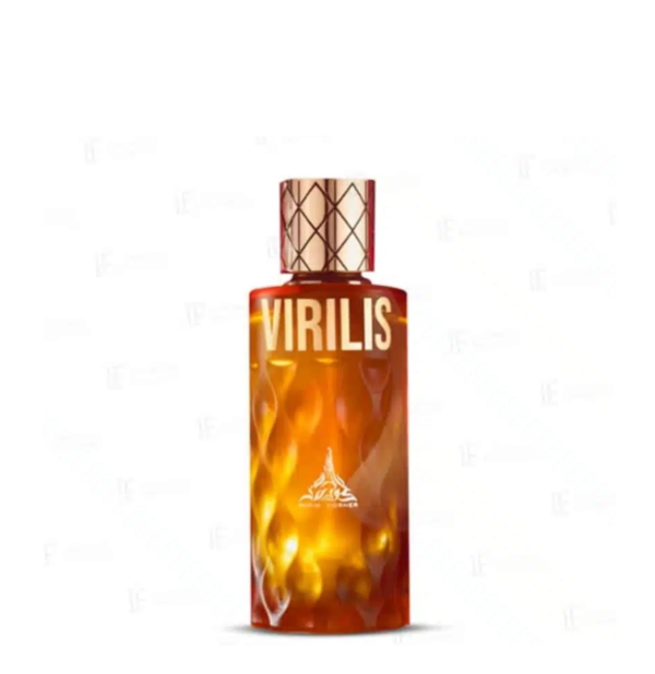 Virilis Eau de Parfum 100ml Mixte - Paris Corner